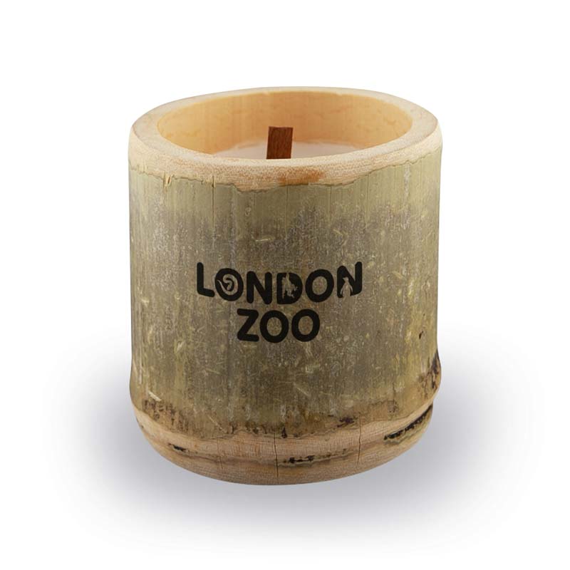 Bamboo Candle