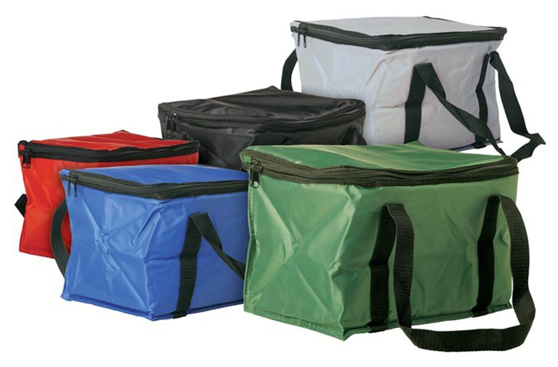 12 Can Cooler Bag