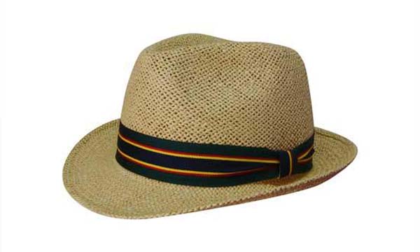 Fedora Style String Straw