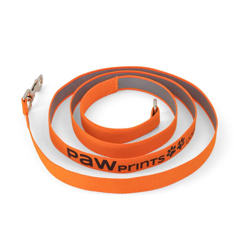 Printed Dog Lead