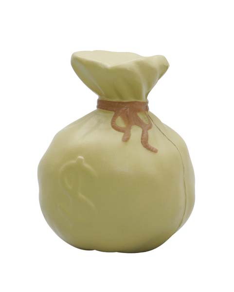 Stress Money Bag