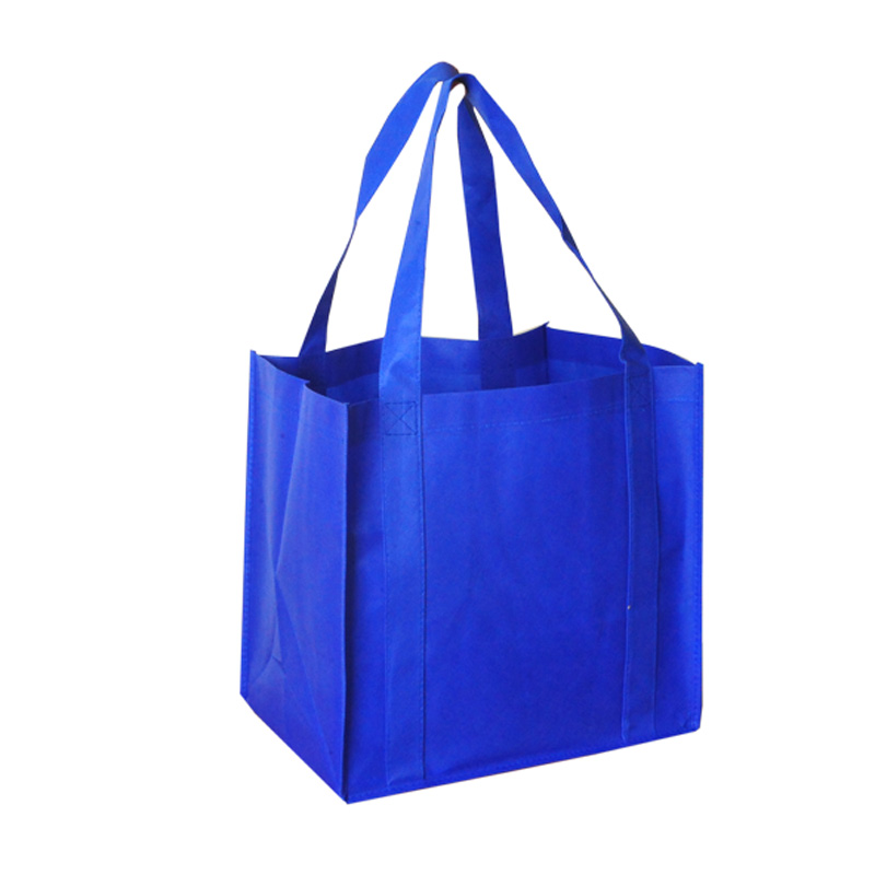 Non Woven Shopping Bag