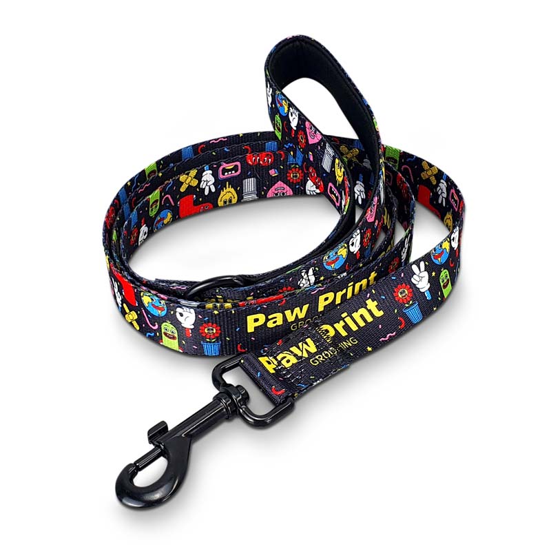 Amigo Dog Leash